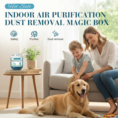 🔥2026 New & Upgraded - Indoor Air Purification Dust Removal Magic Box🏠Limited-Time Offer⏰